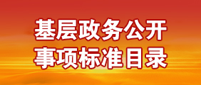 基層政務(wù)公開(kāi)事項標準目錄